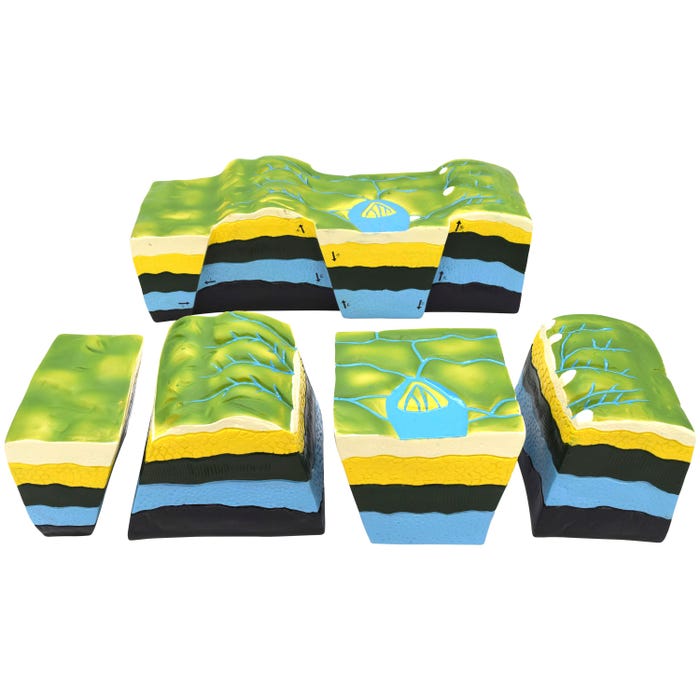 Eisco Labs Fact and Faults Model, Geological Tectonics, 5 Pieces