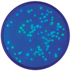 Life Science Products, Books Supplies, Item Number 1293212