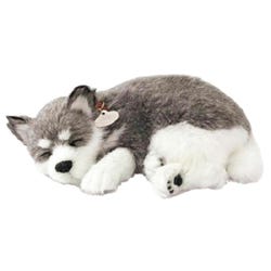 Perfect Petzzz Alaskan Husky 2121724