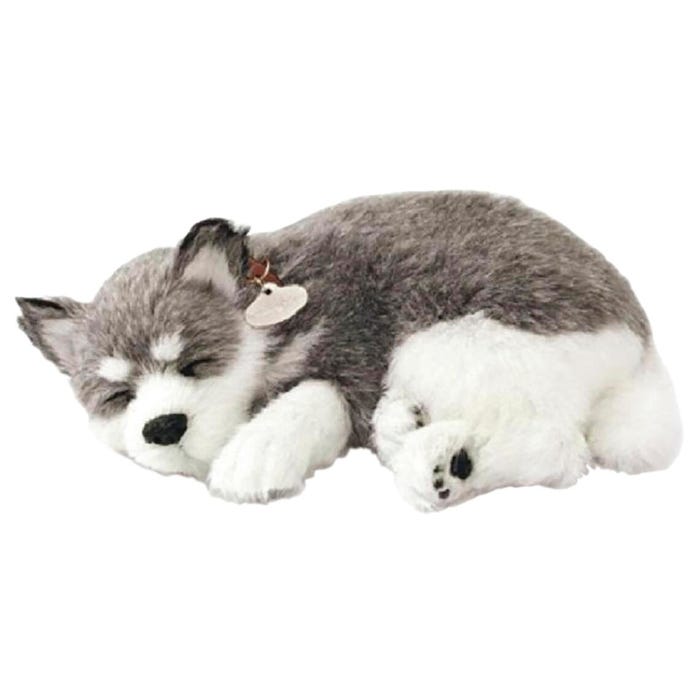 Perfect Petzzz Alaskan Husky