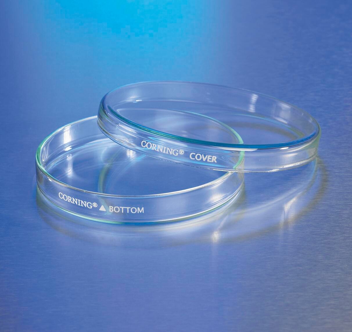 Science Lab Dishes, Item Number 531725