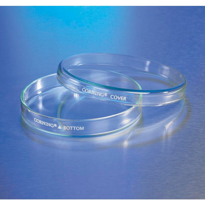 Corning Soda Lime Petri Dishes, 100 x 15mm, Pack of 24