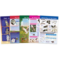 Image for NewPath Learning Bulletin Board Set of 5, Owl and Owl Pellets, Grades 5 to 8 from School Specialty
