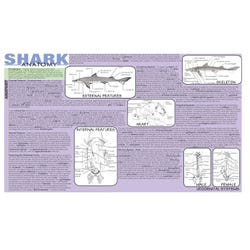 Frey Scientific Shark Dissection Mat