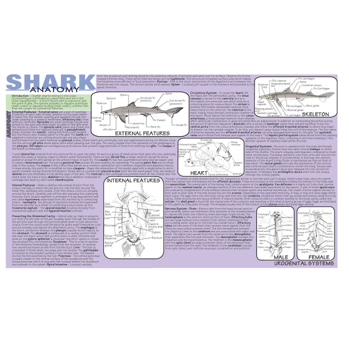 Frey Scientific Shark Dissection Mat