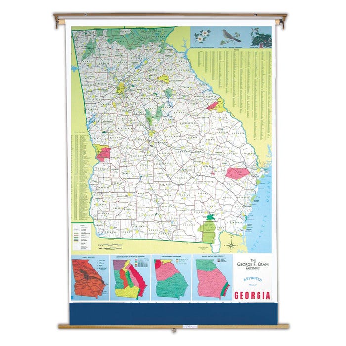 Nystrom Georgia Pull Down Roller Classroom Map, 51 x 68 Inches