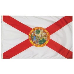 Image for Annin Florida State Flag, Heavy Weight Nylon, Outdoor, 3 x 5 Feet from School Specialty