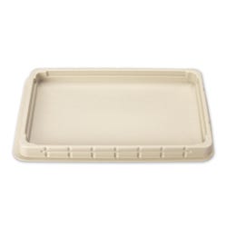 Nasco Small Basic Dissection Pan, 10 x 17 Inch, Beige