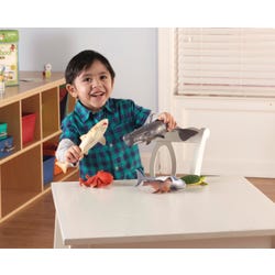 ANGLEIMAGES_FULLIMAGE