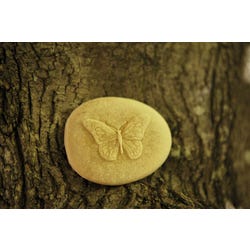 ANGLEIMAGES_FULLIMAGE