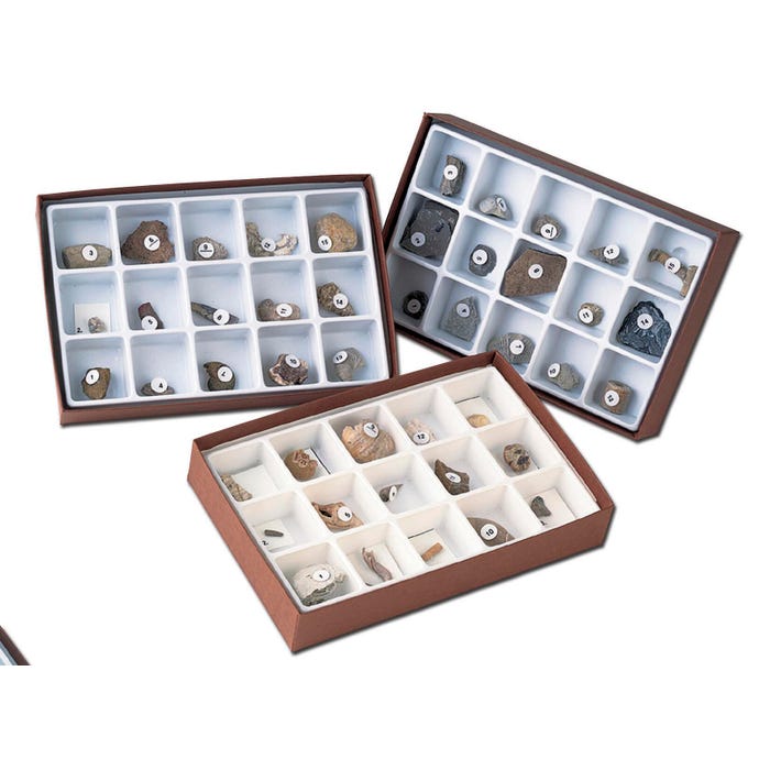 Frey Scientific Life of the Past Fossil Sets - Paleozoic, Mesozoic, and Cenozoic