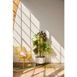 ANGLEIMAGES_FULLIMAGE