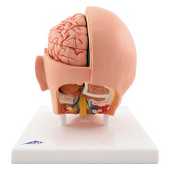 ANGLEIMAGES_FULLIMAGE