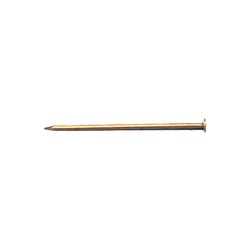 Delta Education Nails Wire, 18 Gauge, Pack of 80