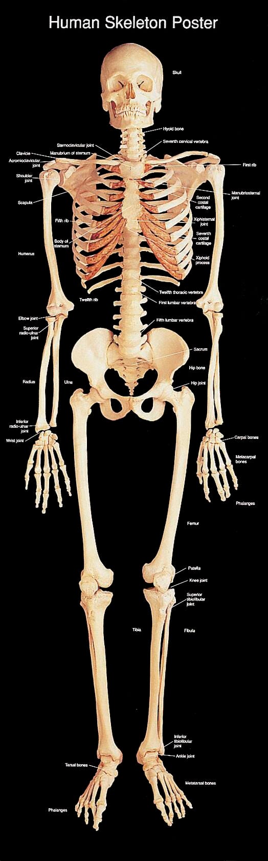 Science Supplies, Resources Supplies, Item Number 160-6945