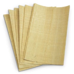 Black Ink Papyrus Sheets, 8 x 12 Inch, Pack of 10