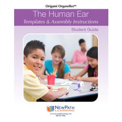 ANGLEIMAGES_FULLIMAGE