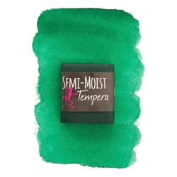 Jack Richeson Semi-Moist Tempera Cake, Green
