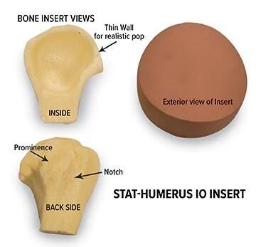STAT Humerus intraosseous (IO) Insert