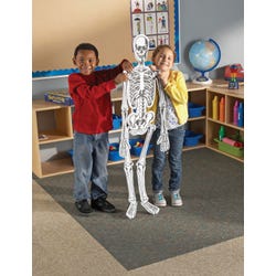 ANGLEIMAGES_FULLIMAGE