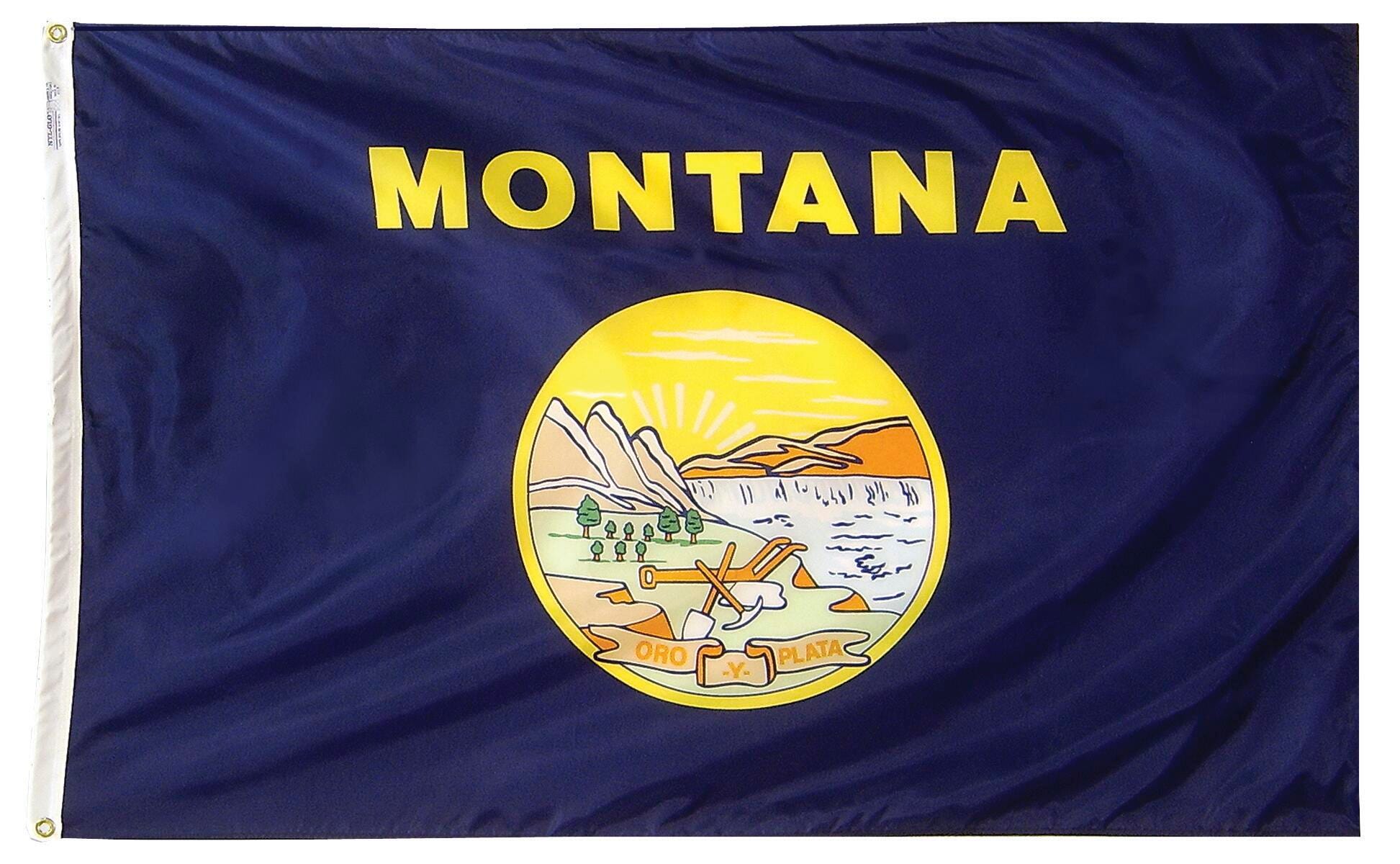 Image for Annin Montana State Flag, Heavy Weight Nylon, Outdoor, 4 x 6 Feet from School Specialty