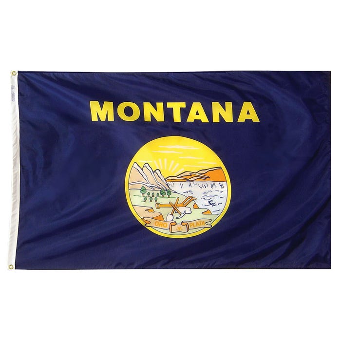 Annin Montana State Flag, Heavy Weight Nylon, Outdoor, 4 x 6 Feet