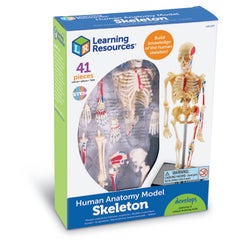 ANGLEIMAGES_FULLIMAGE