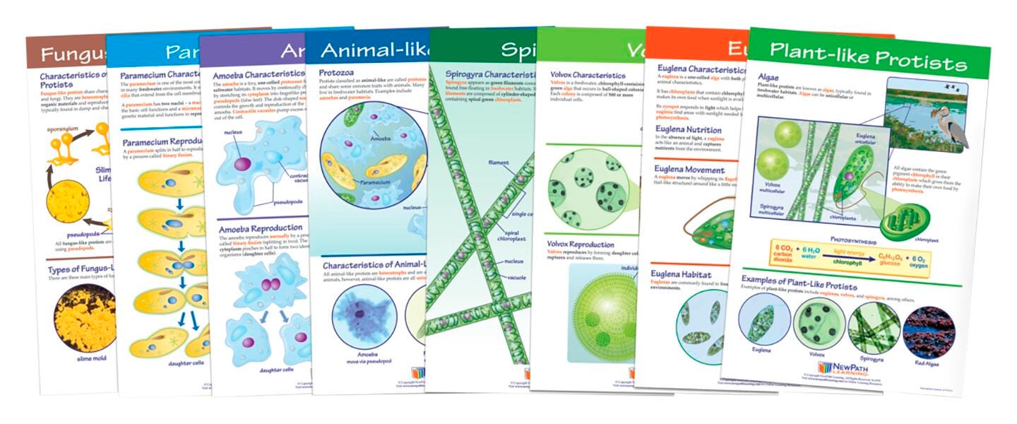 Microbology Supplies, Item Number 2026929