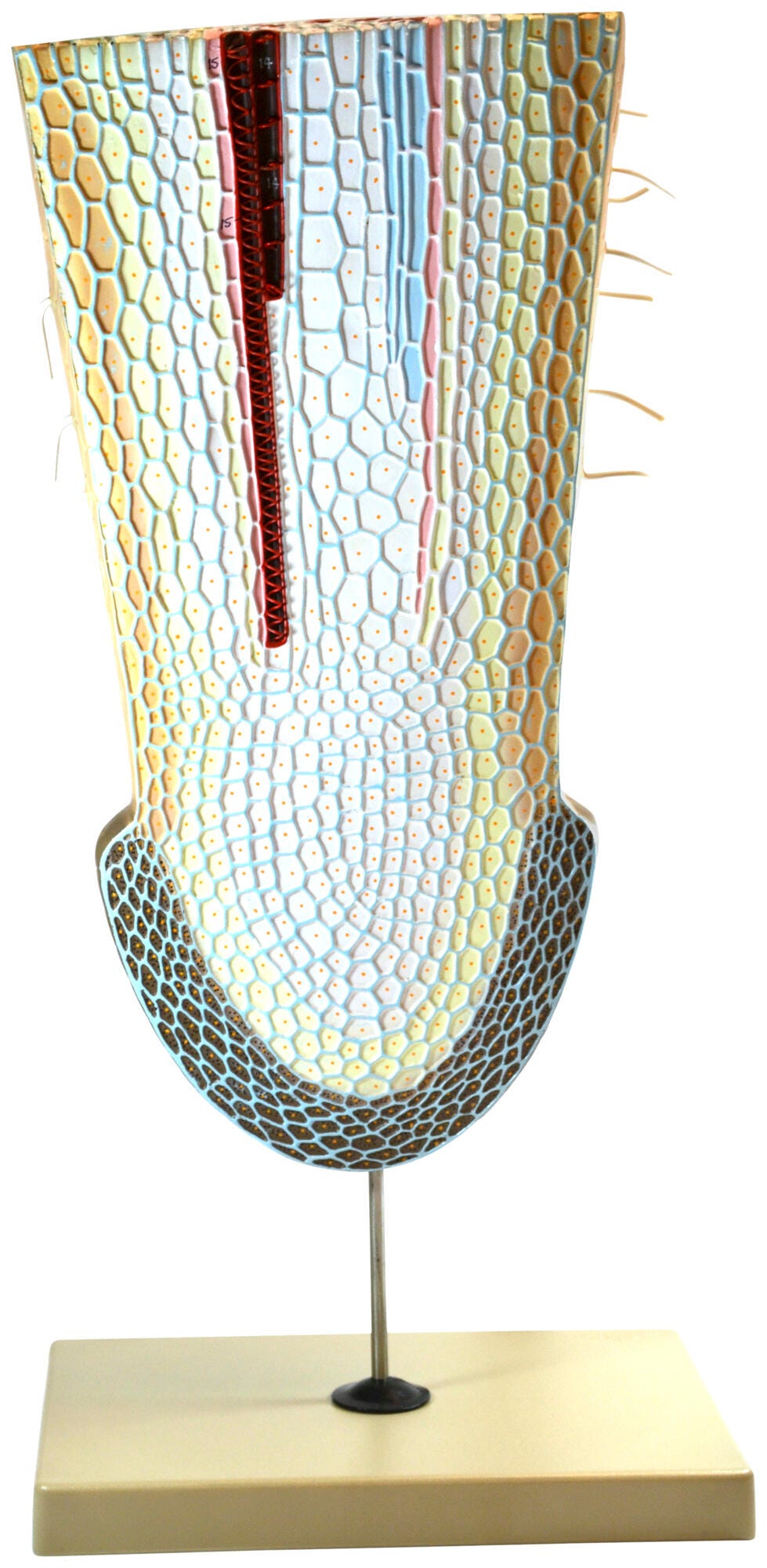 Plant Science, Item Number 2021856