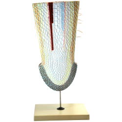 Image for Eisco Labs Root Tip Model on Stand, Cross-Section View from School Specialty