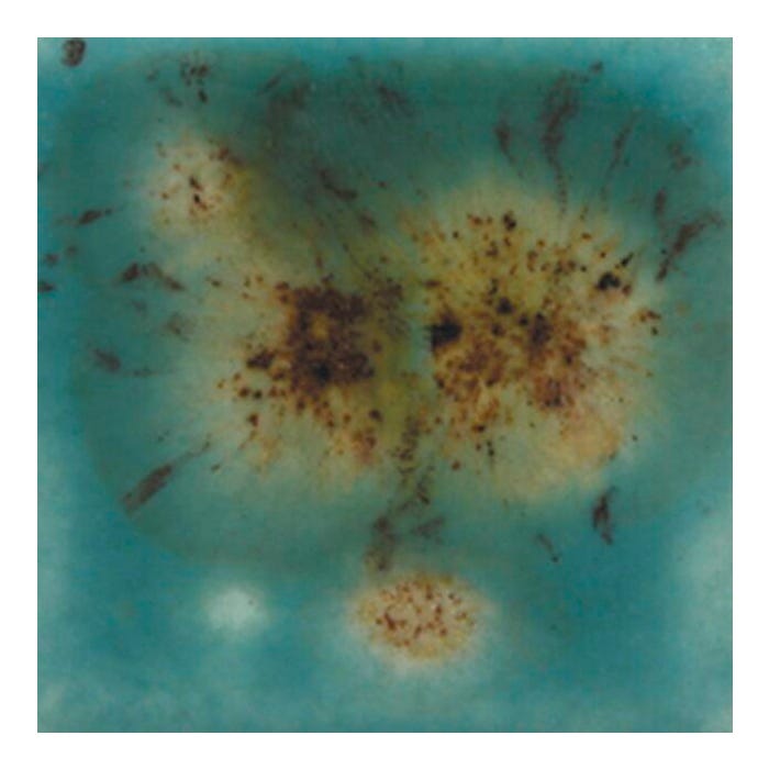 Mayco Crystalite Crystal Glaze, S2724 Lotus Blossom, Semi-Opaque, Pint