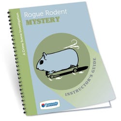 ANGLEIMAGES_FULLIMAGE