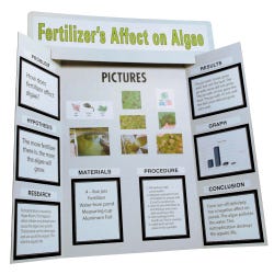 Presentation Boards, Item Number 1568629