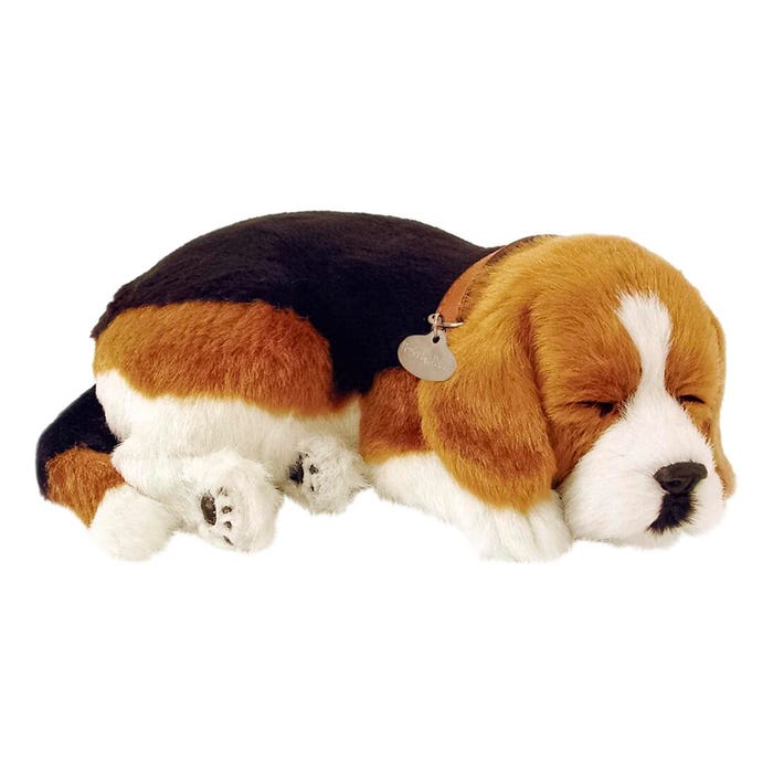 Perfect Petzzz Beagle