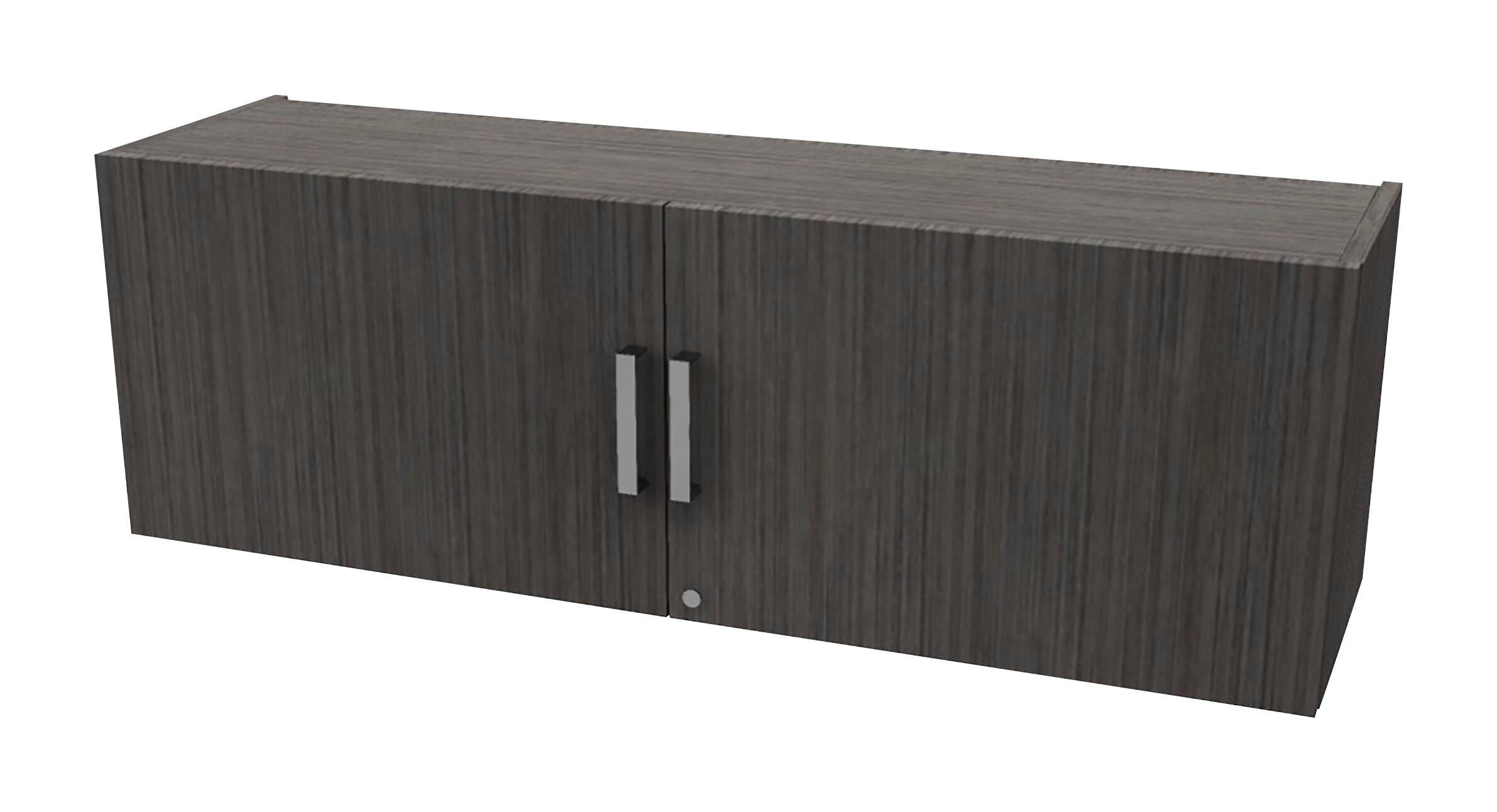 AIS Calibrate Series Wall Mounted Overhead Cabinet with Doors, 48 x 14 x 16 Inches 4000707