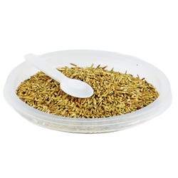 Delta Education Grass Seed, 1 Pound