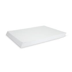 Nasco MIxed Media Paper, 18 x 24 Inch, 50 lb, White, Ream