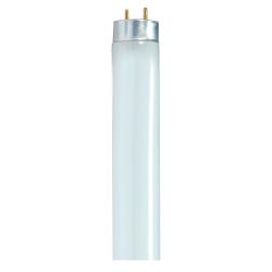 Light Bulbs, Item Number 1498332