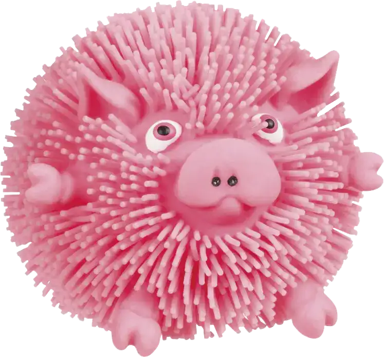 Pig Sensory Toy