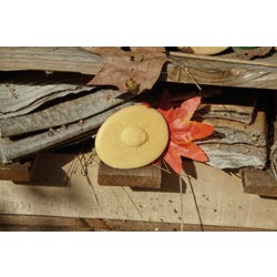 ANGLEIMAGES_FULLIMAGE