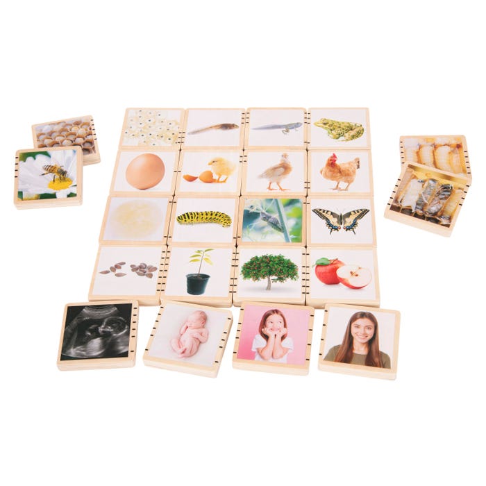 TickiT Wooden Lifecycle Tiles, Set of 24