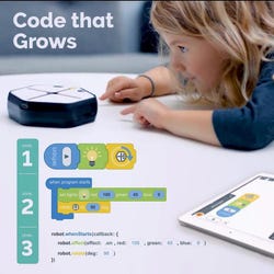 ANGLEIMAGES_FULLIMAGE