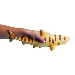 ANGLEIMAGES_FULLIMAGE