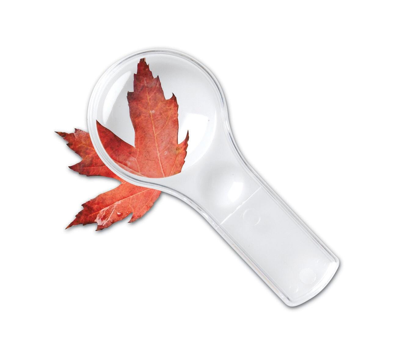 Learning Resources Dual Lens Magnifiers, Set of 10 1426295