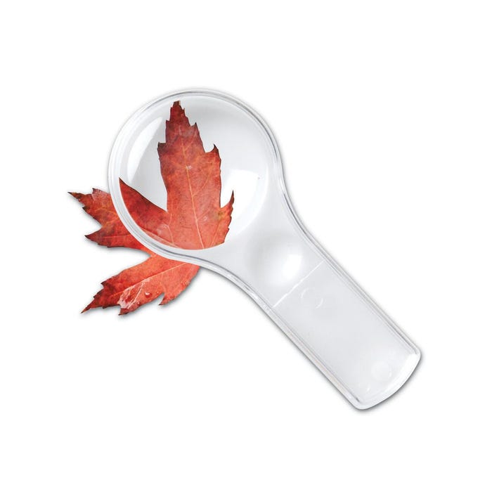 Learning Resources Dual Lens Magnifiers, Set of 10