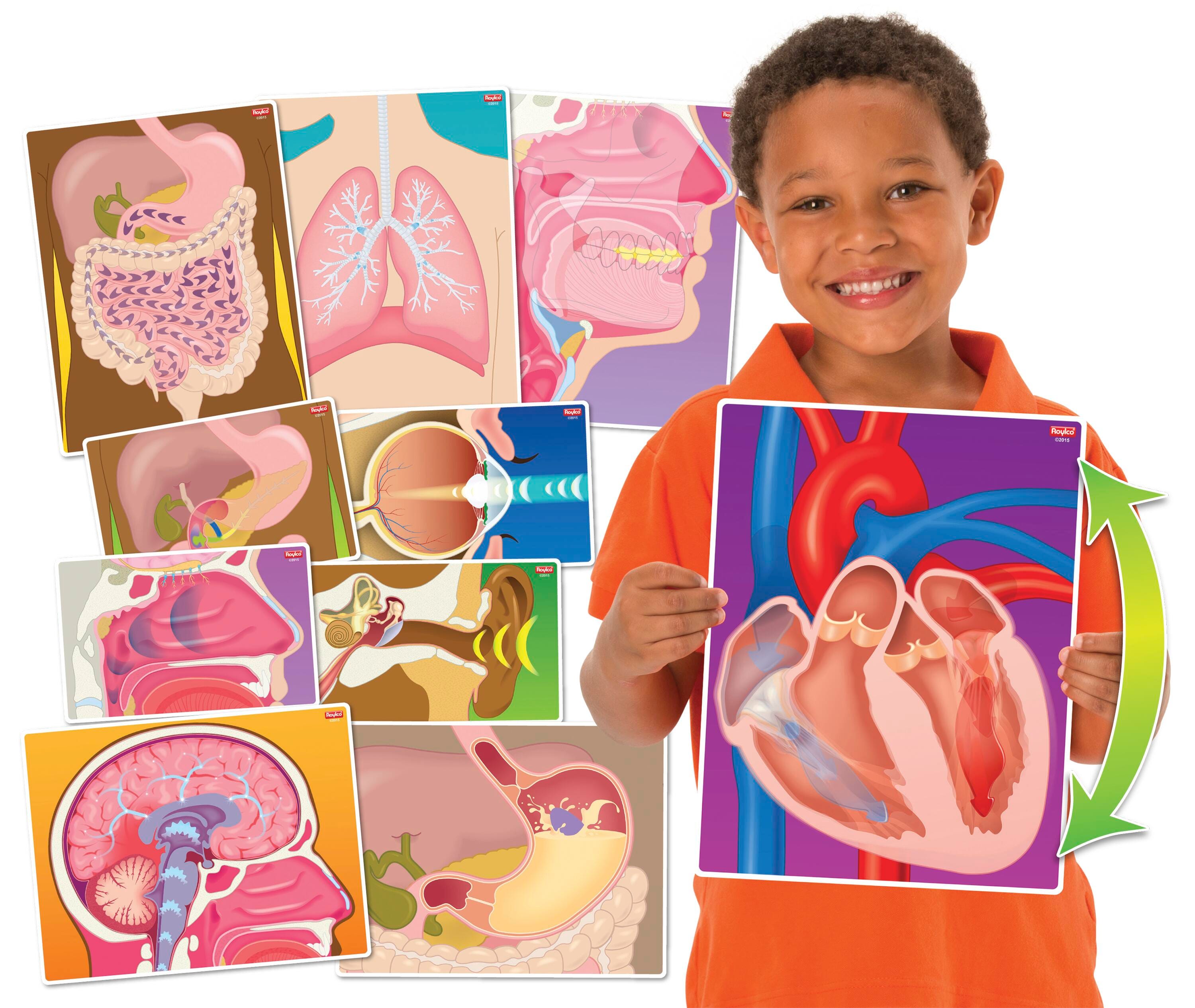 Independent Reading, Item Number 1557855