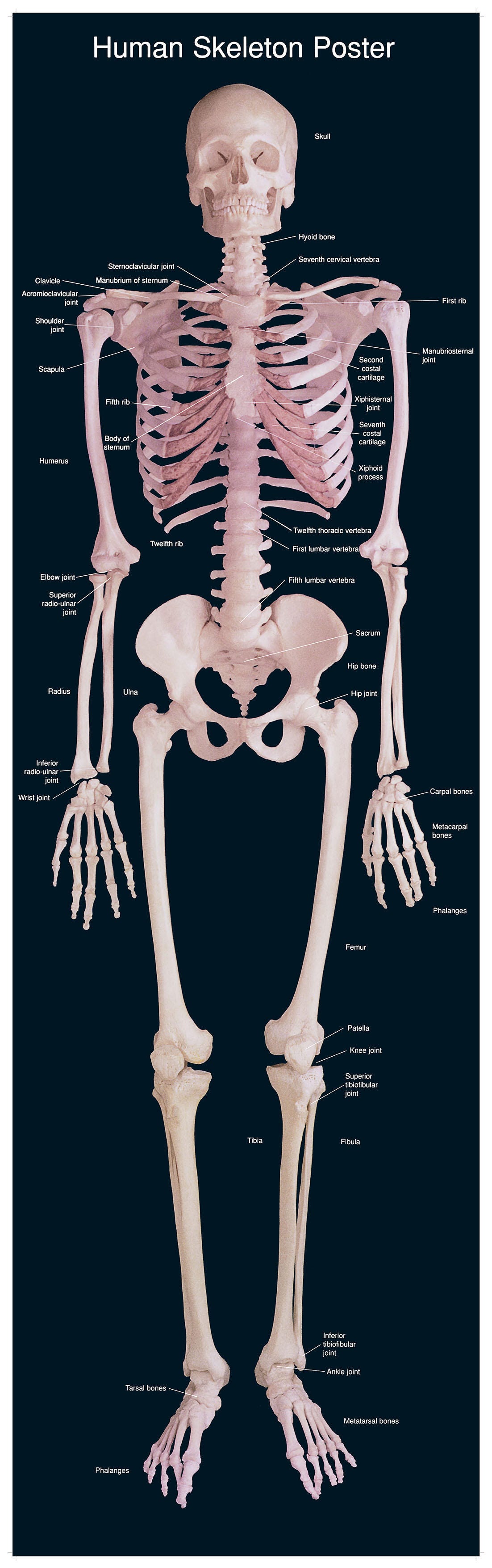  Item Number 161-8106