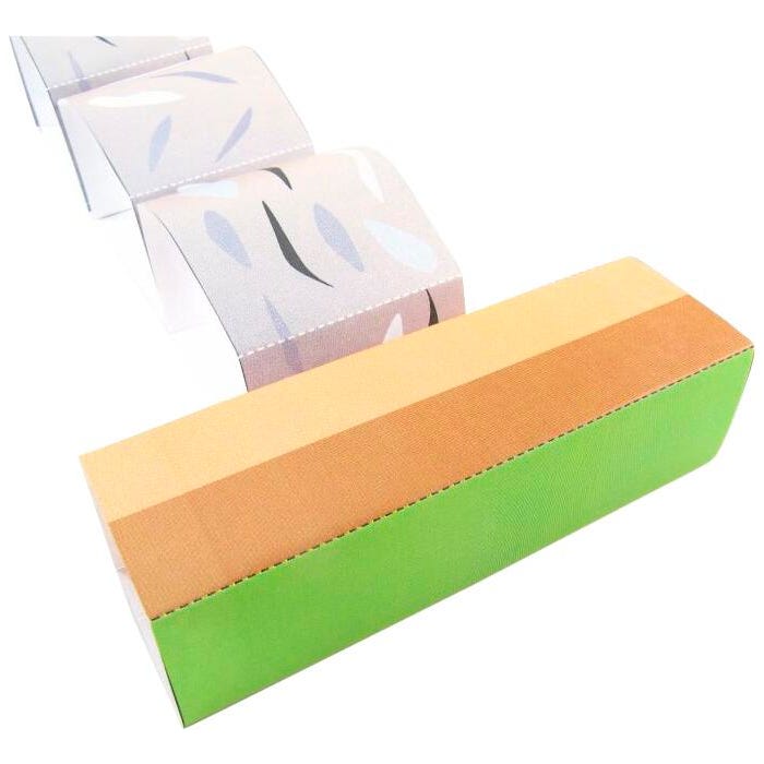 NewPath Learning Earthquakes 3-D Model Making Kit