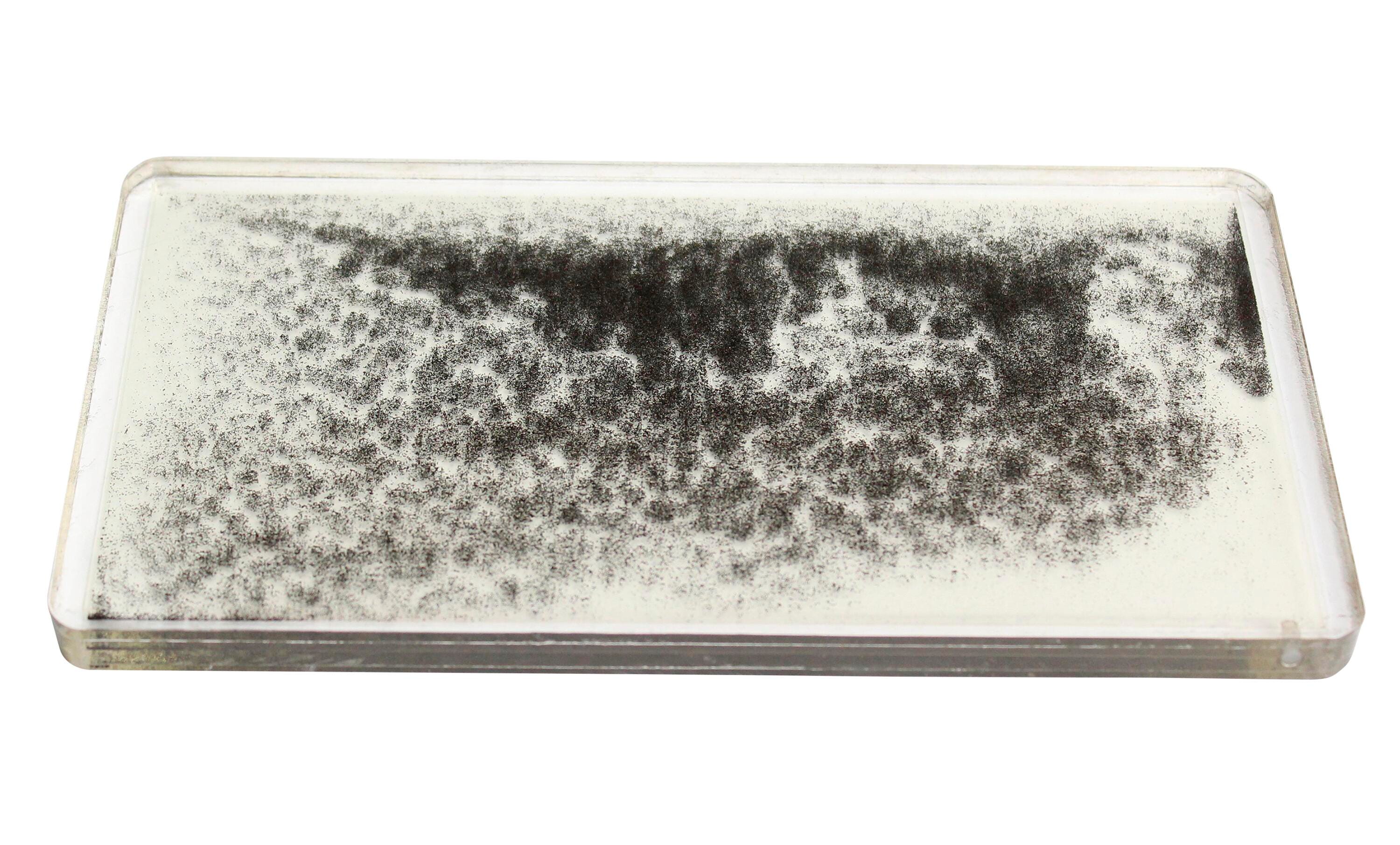 United Scientific Magnetic Field Demonstrator, Item Number 2093966