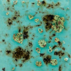Mayco Jungle Gems Crystal Glaze, Glue Guppy CG1008, Pint 2135181